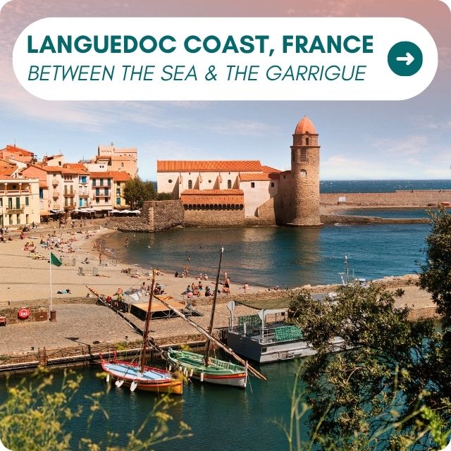 LANGUEDOC COAST, France BETWEEN THE SEA AND THE GARRIGUE