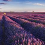 Slide Paradou - Provence