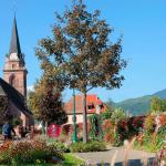 Slide Bergheim - Alsace