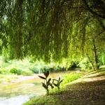 Slide Les Collines Iduki - Bastide Clairence