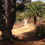 Slide Les Bungalows A Pasturella - Calcatoggio - Location de vacances en Corse - séjour nature