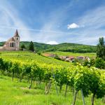 Slide Le Domaine des Rois - Alsace