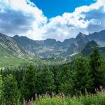 Slide Vue des montagnes en été sur les sommets des Alpes françaises