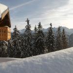 Slide Façade et chalet en bois à la ésidence Le Hameau des Beaufortains aux Saisies