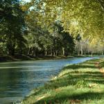 Slide Cruise on the Canal du Midi near the Château de Jouarres in Azille