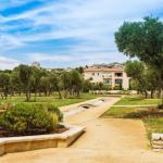 Slide Outdoor green spaces with an avenue of olive trees within the Bourgeac estate