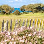 Slide Landscaped pathway surrounding the L’Estran residence in Les Sables-d’Olonne, ideally located on the seafront