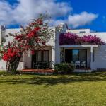 Slide Extérieur d’une villa à Pedras del Rei au Portugal avec de la végétation devant et une terrasse extérieure privative