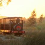 Slide Train heading to Tavira Beach from Pedras Del Rei