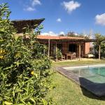 Slide Jardins arborés avec oliviers et citronniers à a Villa Dar Wellness