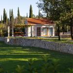 Slide Maisonnette construite en pierre traditionnelle avec terrasse ombragée en  Croatie