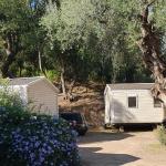 Slide Mobilhomes extérieurs d camping Lacasa à Calcatoggio en Corse