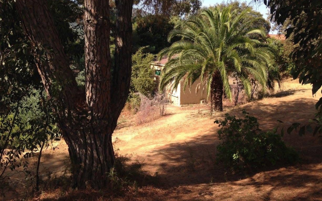 Slide Les Bungalows A Pasturella - Calcatoggio - Location de vacances en Corse - séjour nature