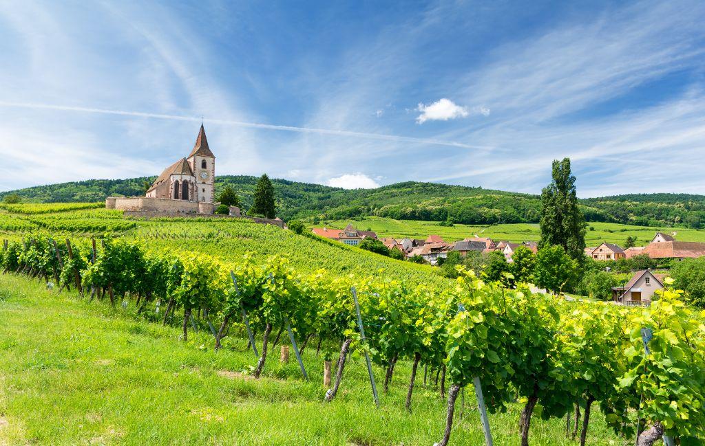 Slide Résidence Le Domaine des Rois - Alsace