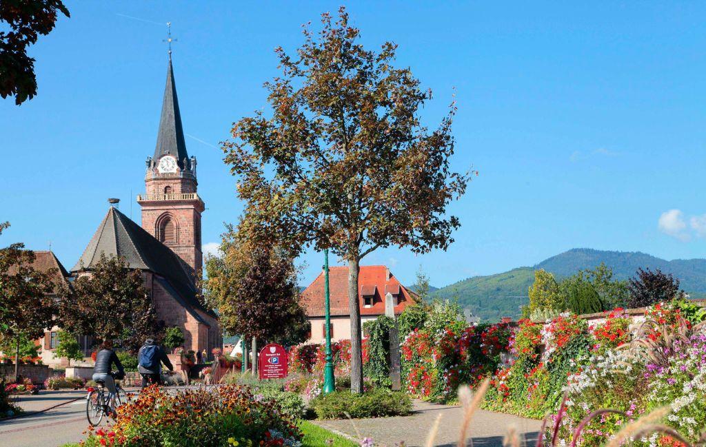 Slide Le Domaine des Rois - Bergheim