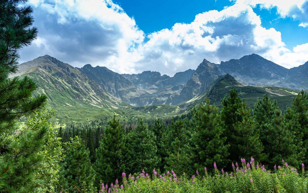 Slide Vue des montagnes en été sur les sommets des Alpes françaises