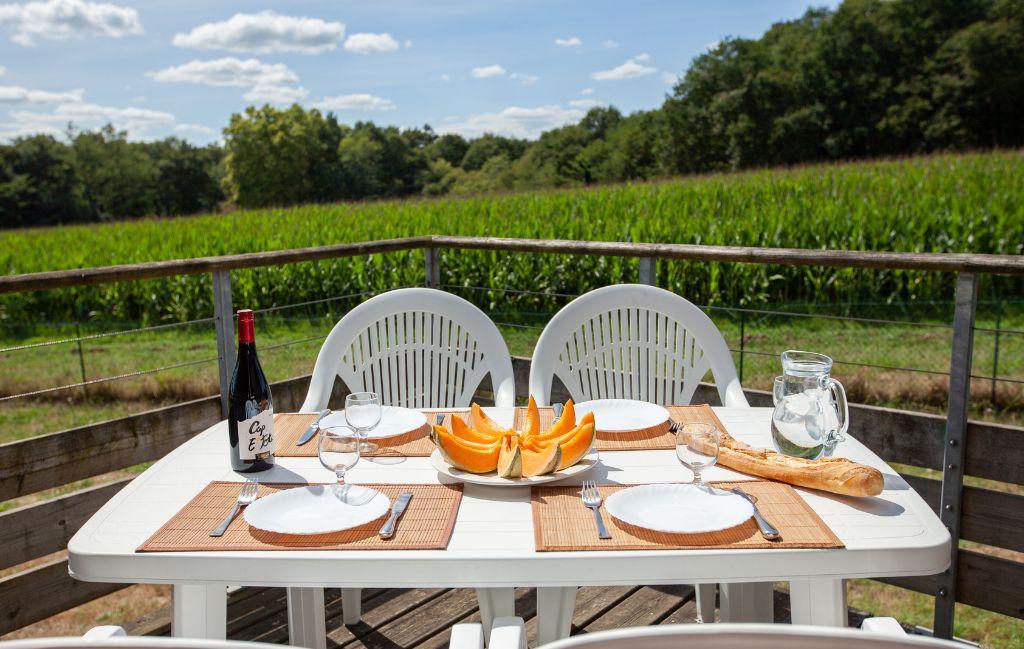 Slide Furnished south-facing balcony with a view of nature at the Hameau de la Chalosse in Cassen, in the Landes