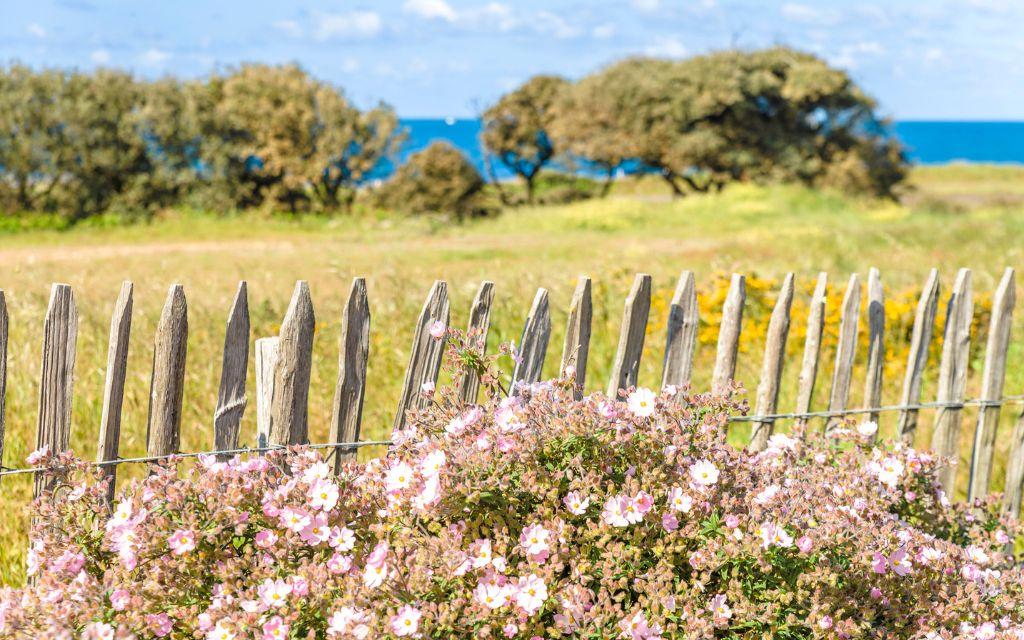 Slide Chemin végétalisé tout autour de la résidence l'Estran aux Sables-d'Olonne située en front de mer