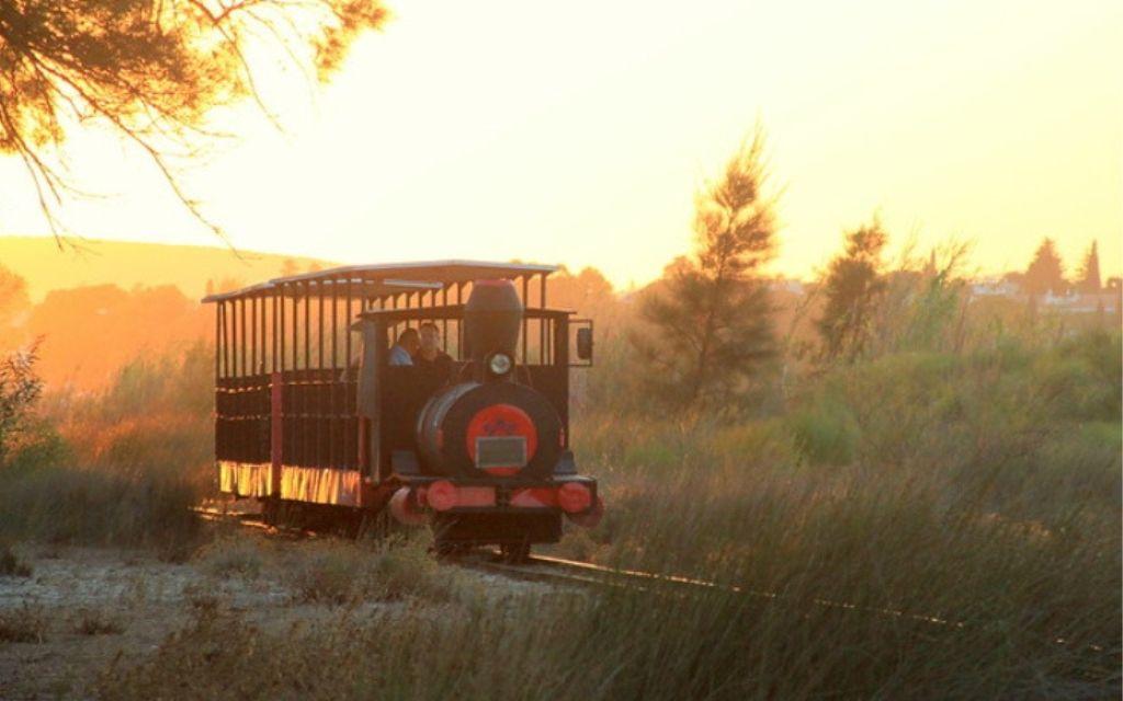 Slide Train taking holidaymakers from the Pedras del Rei residence to Santa Luzia beach in Portugal