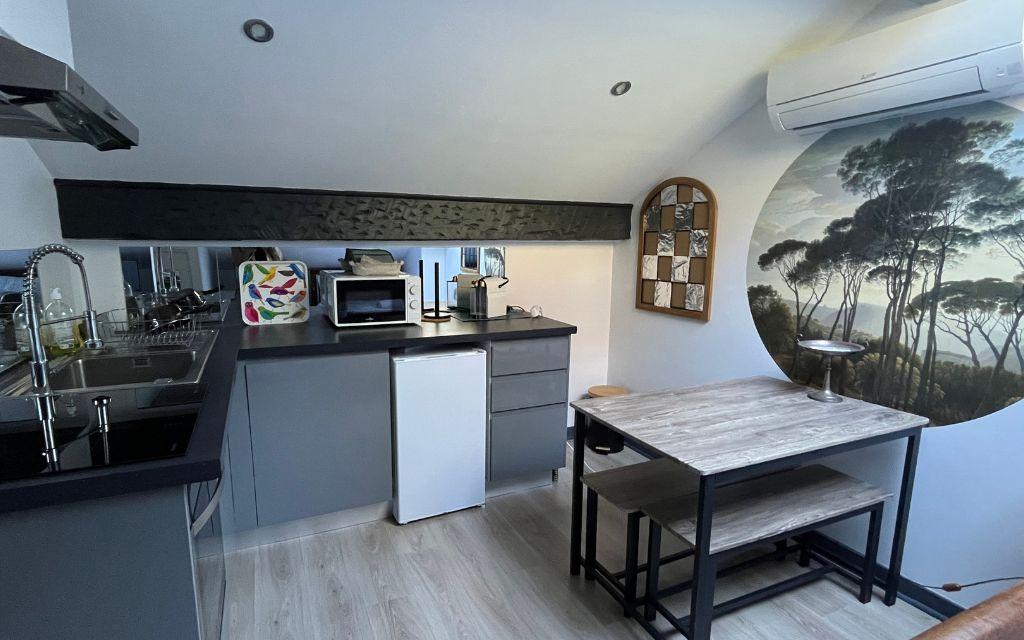 Slide Pièce à vivre avec coin cuisine équipé climatisation et table pour manger dans l'appartement Némo
