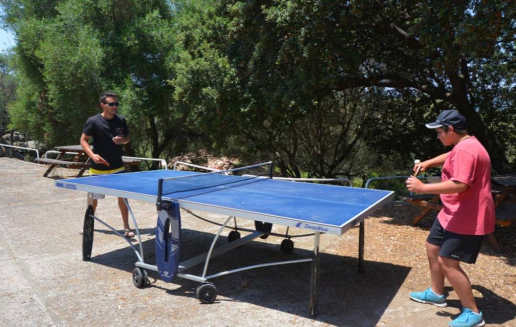 Slide mise à disposition d'une table de ping pong