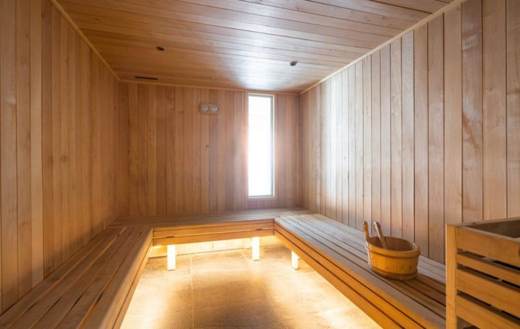 Slide Sauna de la résidence Les Écrins d'Auris à Auris en Oisans