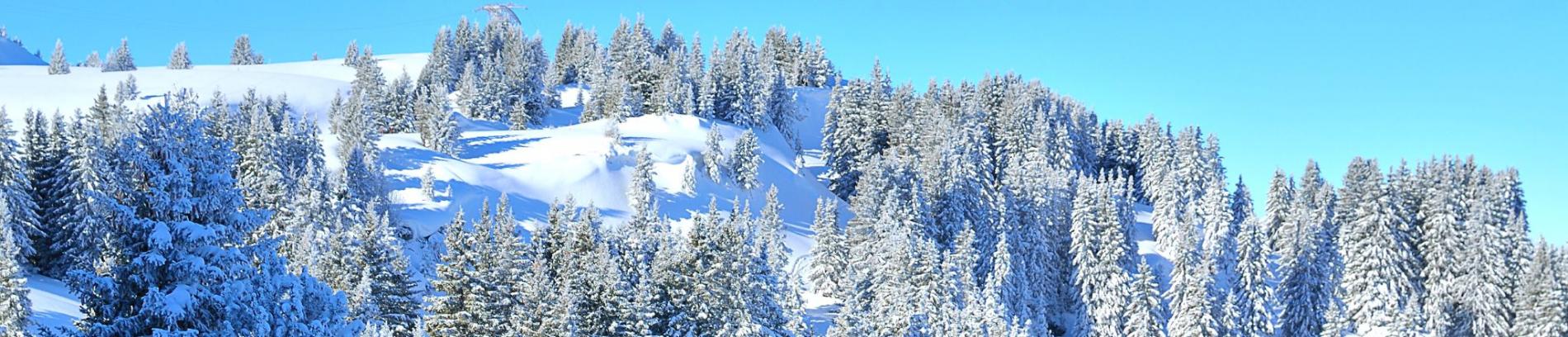 Slide Résidence Les Terrasses de Veret à Flaine - Domaine skiable