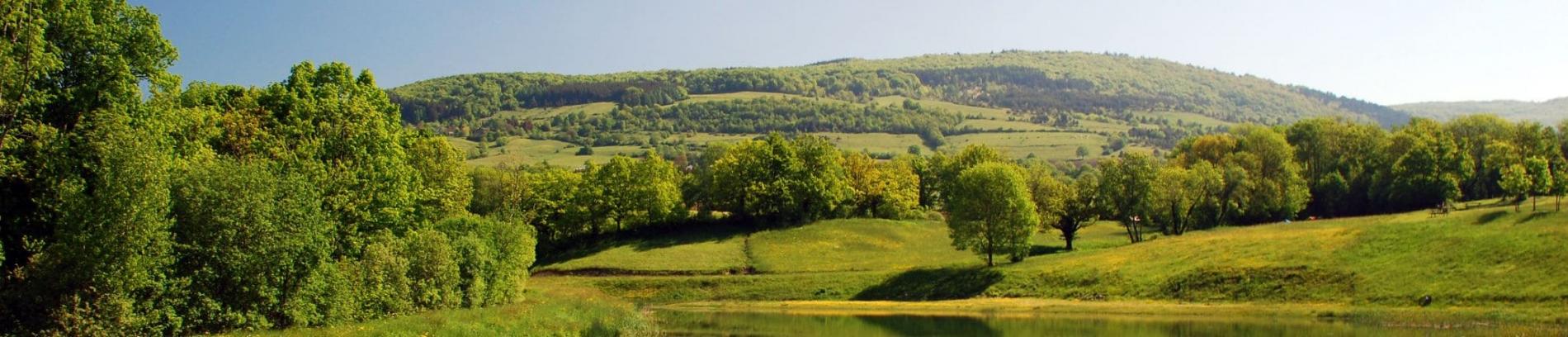 Slide Résidence Le Domaine du Bosquet à Égletons - Nature verdoyante