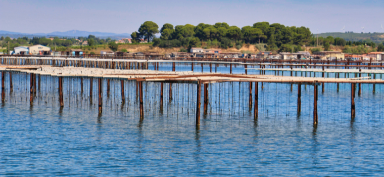 Résidence La Grenadine - Marseillan-Plage - Location de vacances dans le Languedoc