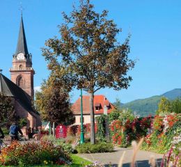 Bergheim - Alsace