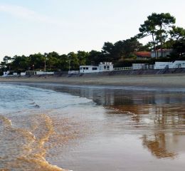 Les Rives de Saint-Brice - bassin d'Arcachon