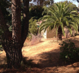 Les Bungalows A Pasturella - Calcatoggio - Location de vacances en Corse - séjour nature