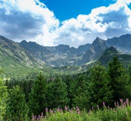 Vue des montagnes en été sur les sommets des Alpes françaises