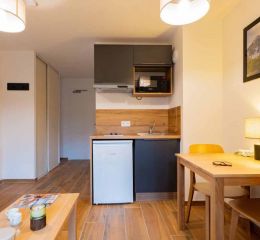 Kitchenette opening onto the living room of a studio apartment at the Arya Living Stone residence in Vars