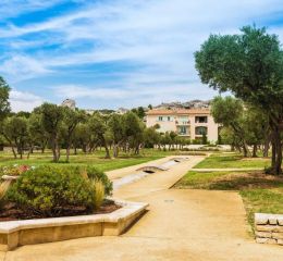 Outdoor green spaces with an avenue of olive trees within the Bourgeac estate