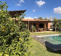 Jardins arborés avec oliviers et citronniers à a Villa Dar Wellness