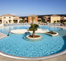 Swimming pool with palm trees at Domaine du Golf residence in Fabrègues near Montpellier