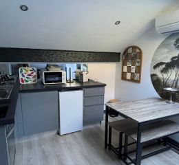Pièce à vivre avec coin cuisine équipé climatisation et table pour manger dans l'appartement Némo