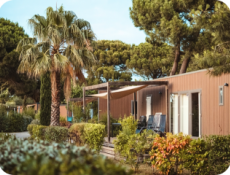 Three bedroom cottage VIP Sleep 6 people